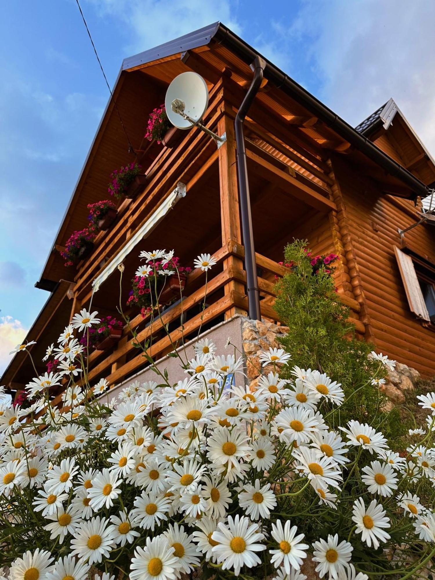 Casa Mia Resort คูเปรส ภายนอก รูปภาพ